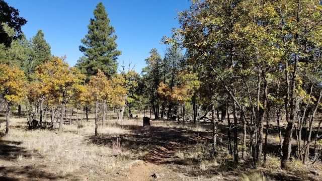 Campbell Mesa Loop Trails